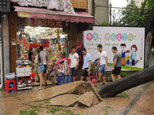 damage from Typhoon Hato at the Lianhua Road Pedestrian Street in Zhuhai, China