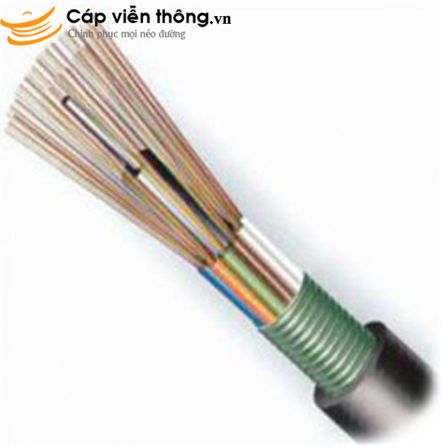 https://capvienthonghn.blogspot.com/2019/12/cap-quang-chon-truc-tiep-s