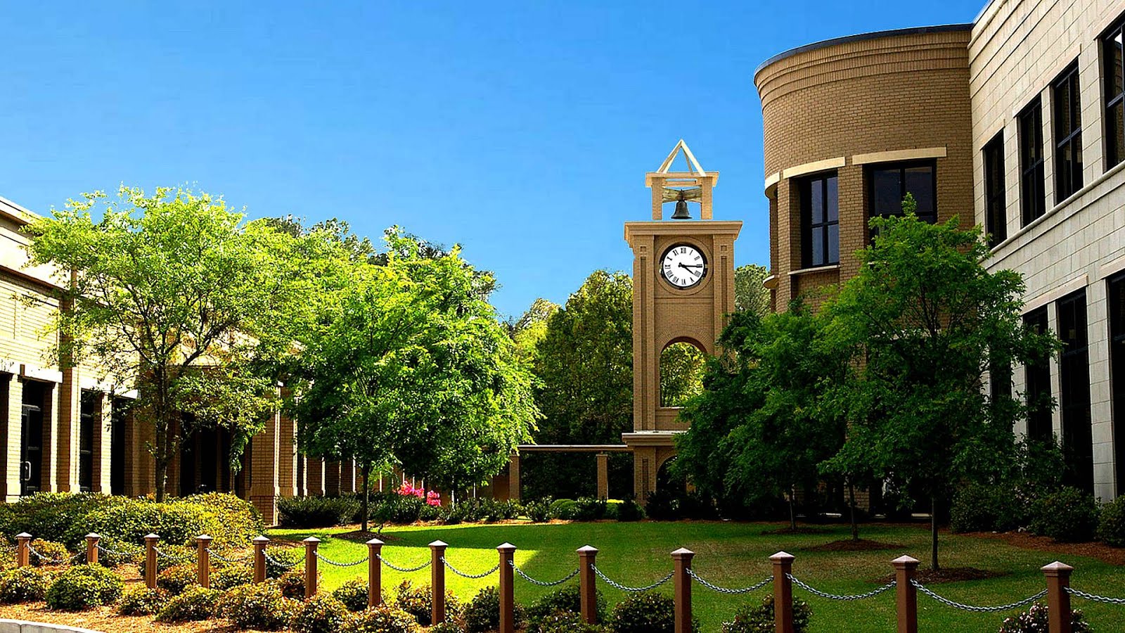 South University Pa Program Requirements University Choices south-university-pa-program-requirements-university-choices