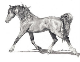 dibujos-de-caballos-representativos-trazos cuadros-caballos-artisticos-trazos