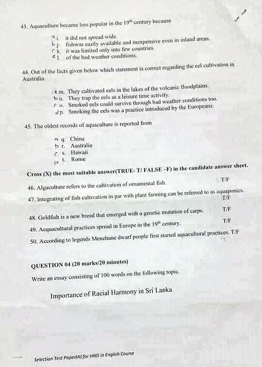 Mcki hnd essay picture