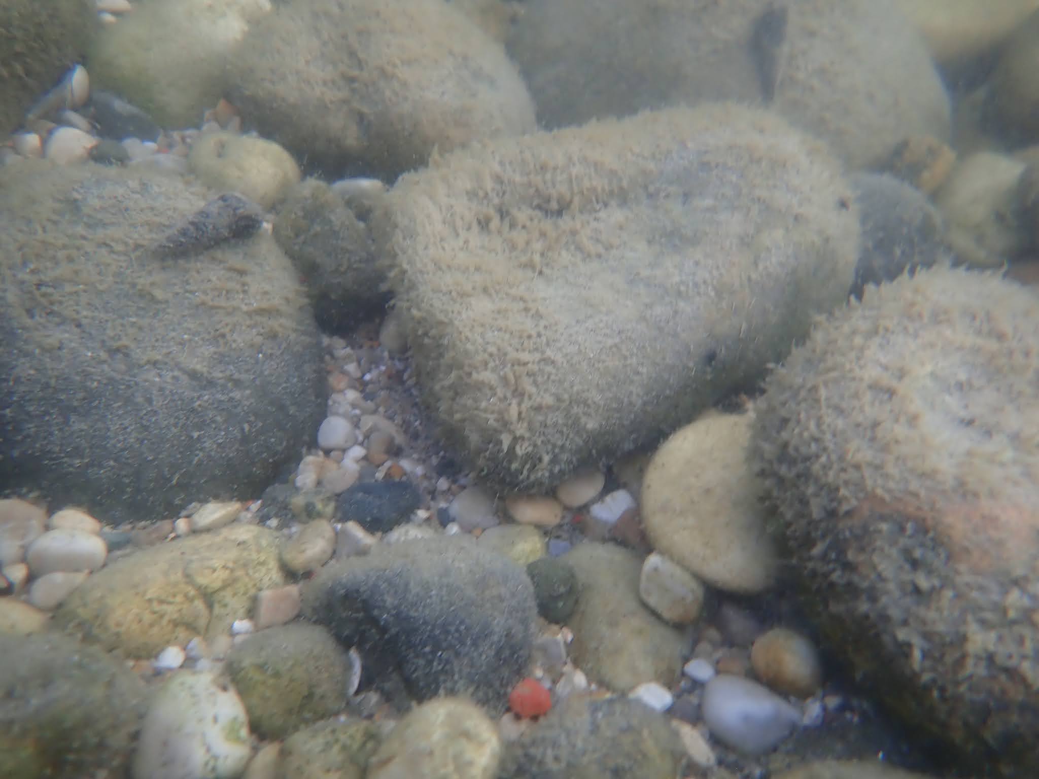 Dave's Yak Tales Lac La Belle, Lake Michigan, Lac La Belle