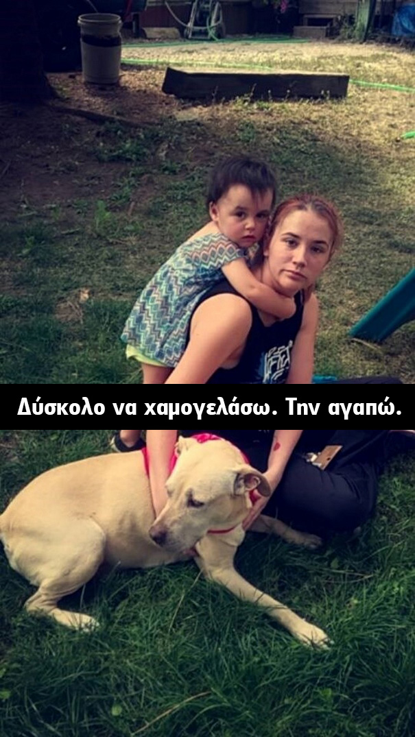 Οι τελευταίες στιγμές μίας γέρικης σκυλίτσας. Οι φωτογραφίες που συγκλόνισαν το διαδίκτυο! σκυλίτσα γέρικη σκυλίτσα