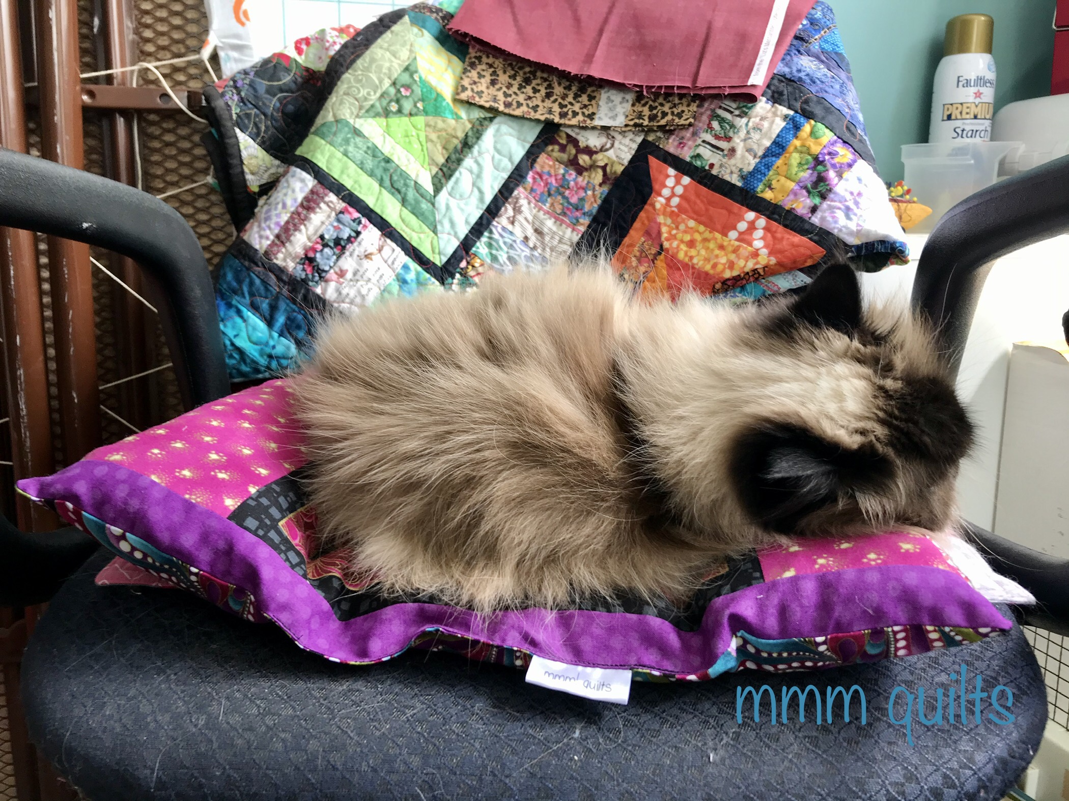 Musings of a Menopausal Melon mmm quilts Cat Mats Installment 2 of 3
