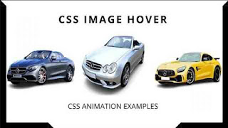 Pure CSS Hover Animation