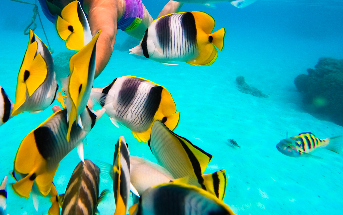 День когда я поняла что мне надо GoPro Hero День когда я поняла что мне надо GoPro Hero