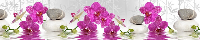  Скинали орхидеи в воде