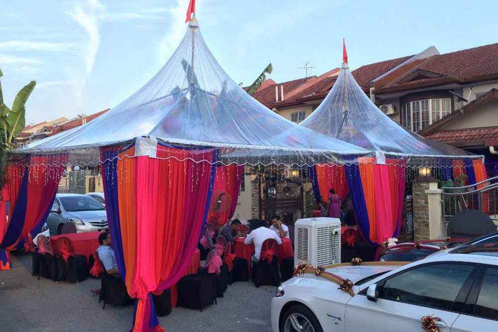 Intensive Canopy Services