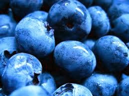 How to grow blueberries
