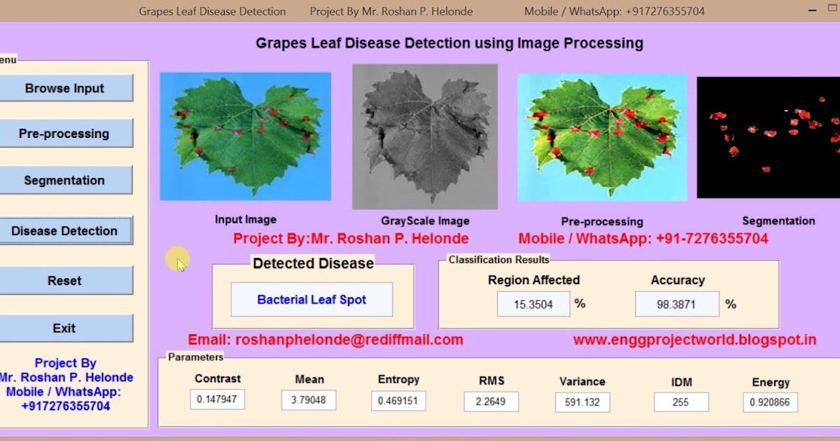 Matlab code for Grape Leaf Disease Detection using Image Processing