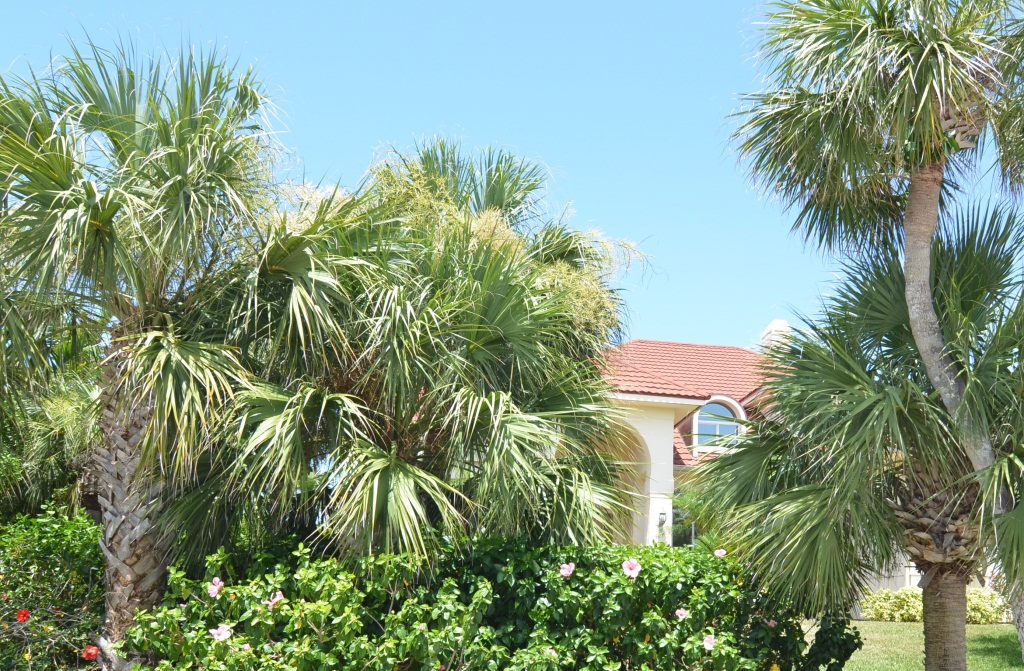 Prescott Realtor, Satellite Beach Real Estate, Homes for Sale