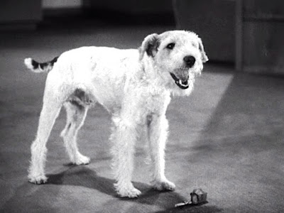 After The Thin Man 1936 Movie Image 6
