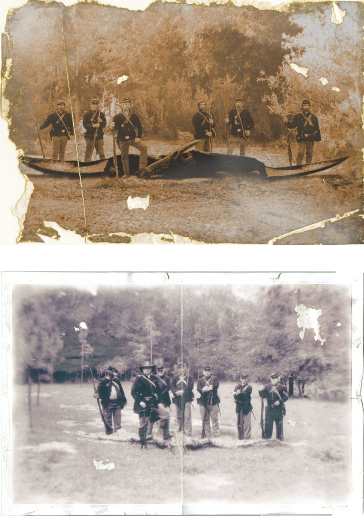 civil war picture with pterodactyl