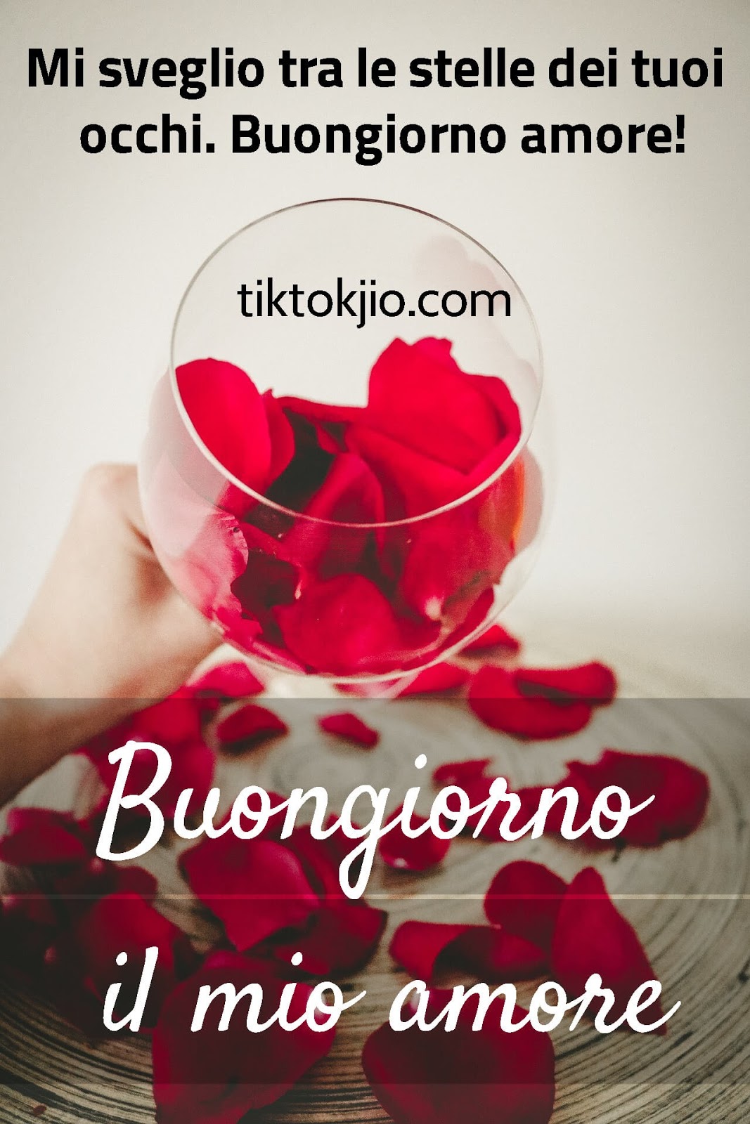 Buongiorno Amore Nuove Buongiorno Amore Mio Immagini Nuove Tiktokjio