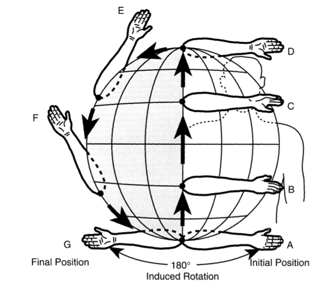 UW Shoulder and Elbow Academy: On the hypotheses that determine the ...
