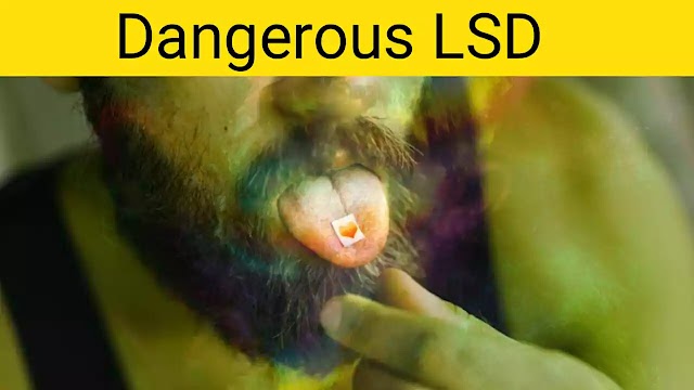 The Chief danger of LSD