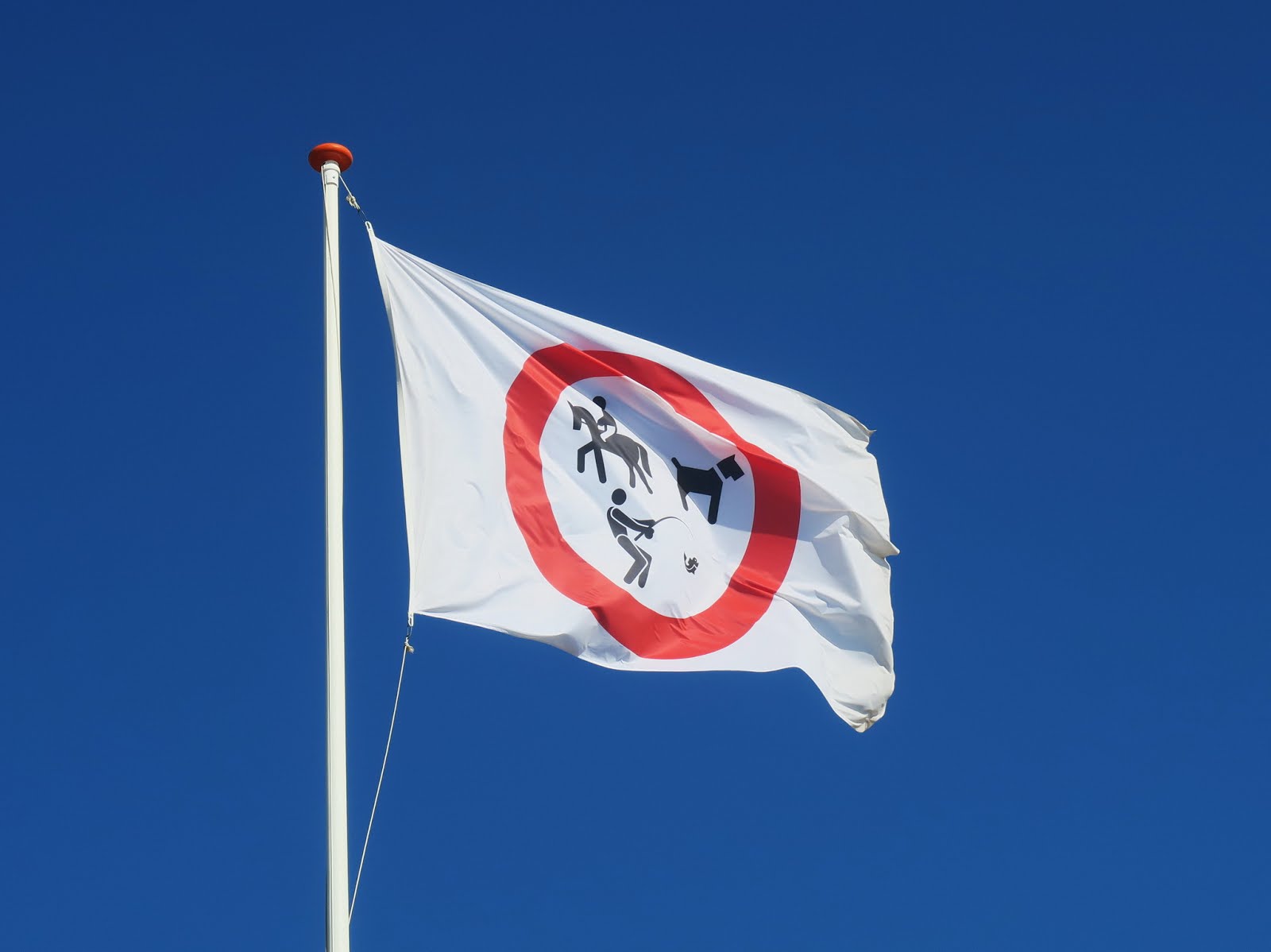 Paardenvlag Katwijk