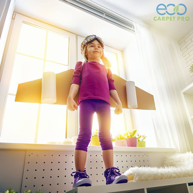 Carpet, Rugs, Upholstery, Tile and Grout Cleaning How Often Do You