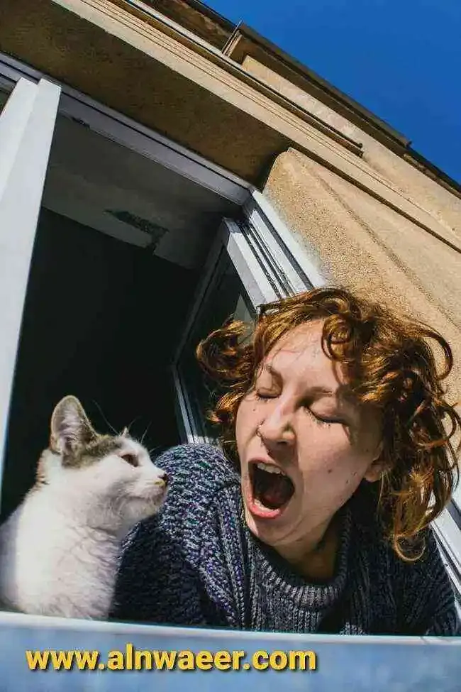 ماهي أسباب رائحة الفم الكريهة عند القطط؟