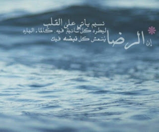 shof_574d50f303da41f