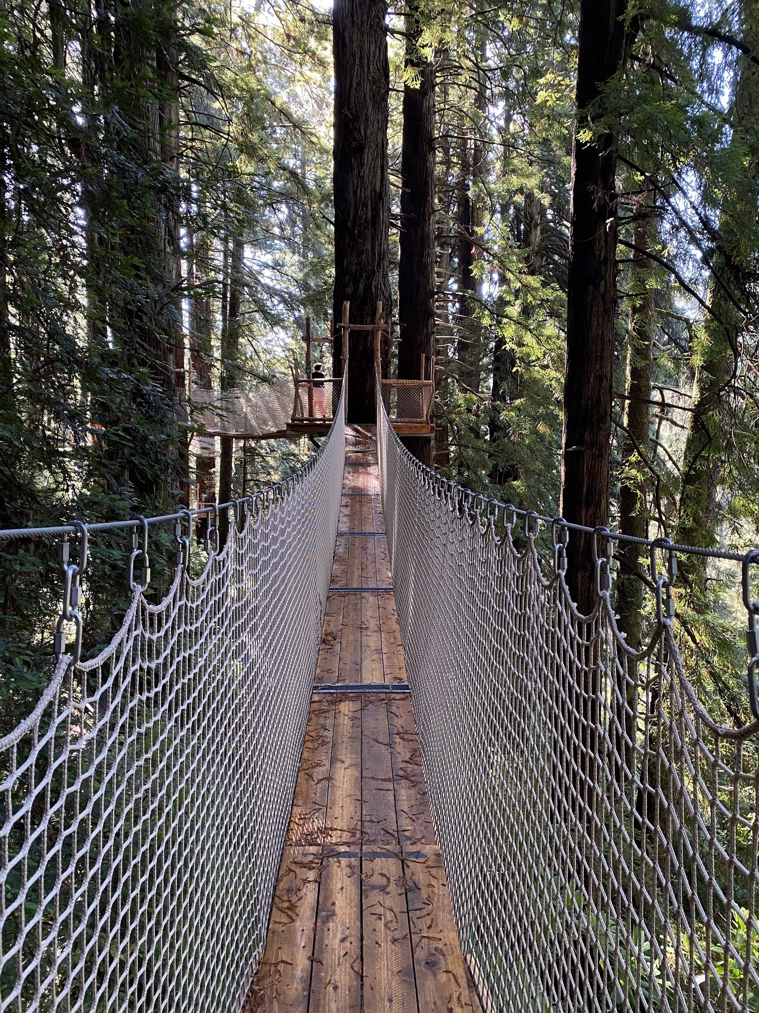Trees of Mystery; a US Route 101 Landmark