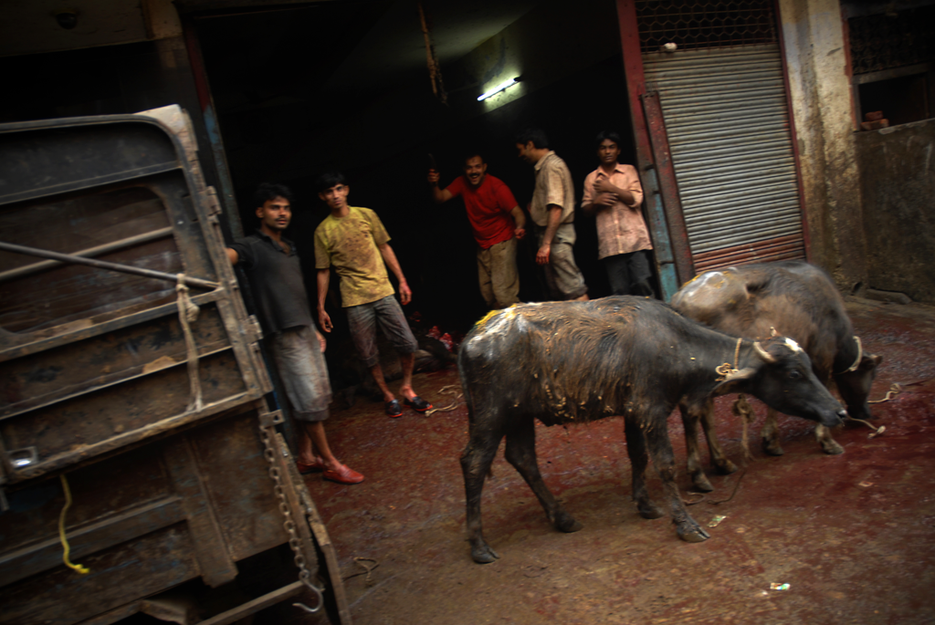 In this image simple shacks are functioning as slaughterhouses in Delhi in India