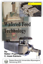 Wafer Feed Technology