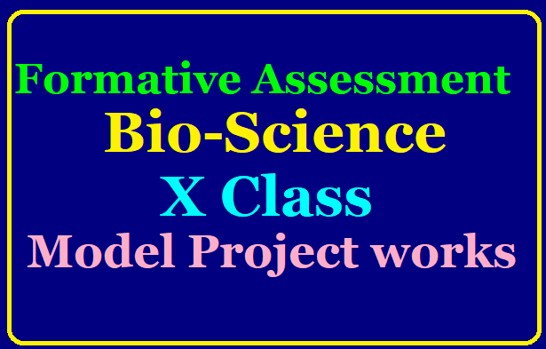Biology Model Project Works 10th Class Download Ap Telangana Tet Trt Dsc Jobs Notification Study Material Download Apply Online