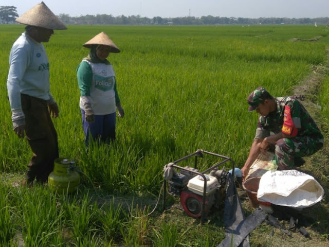 Babinsa Gabus  Bantu Petani Mengairi Sawah