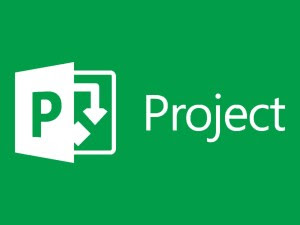 Download_Microsoft Project Pro 2019_Full_Version_Free Download_Microsoft Project Pro 2019_Full_Version_Free
