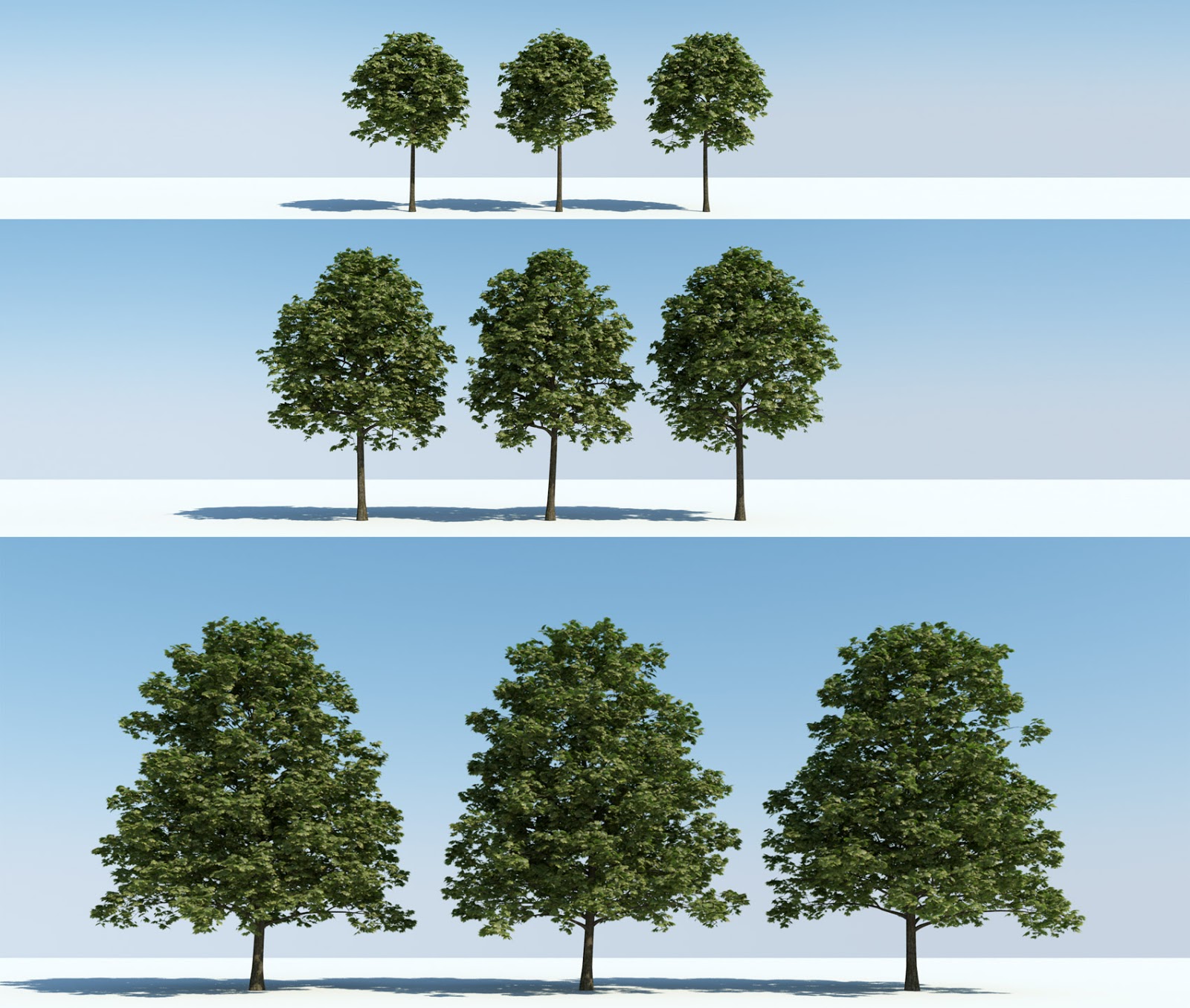Схемы модели деревьев. 3дс Макс дерево. 3д Макс дерево изометрия. Дерево для 3d Max. Модель дерева для 3d Max.