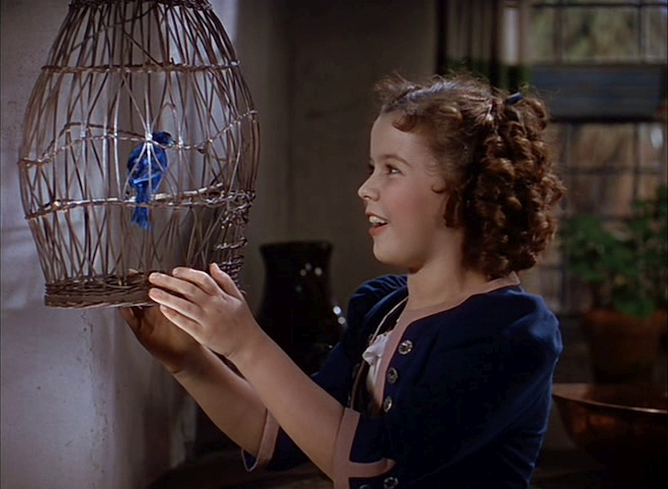 O PÁSSARO AZUL (DUAL ÁUDIO/480P) - 1940 Azul%2B01