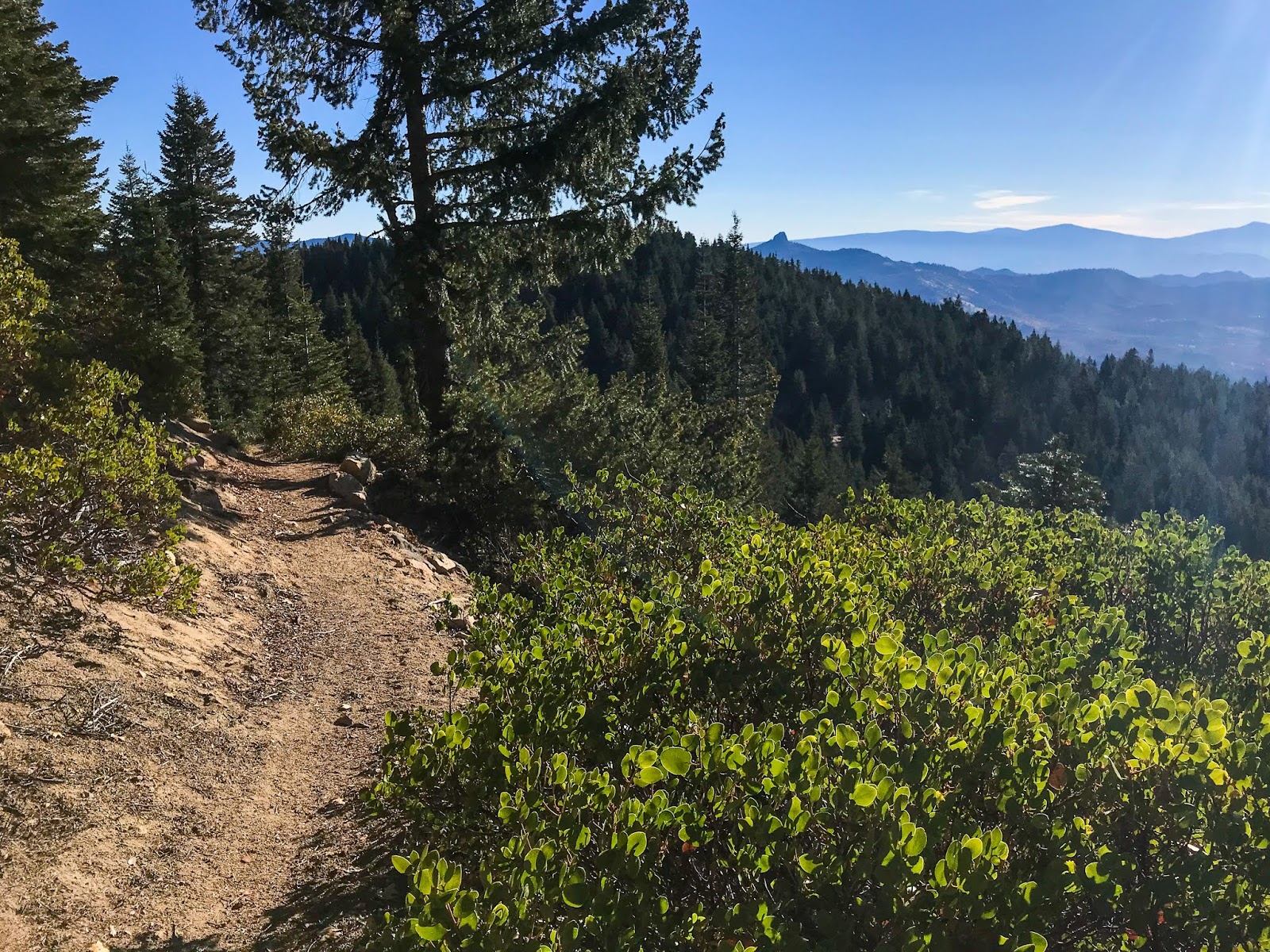 Eric's Hikes Pacific Crest Trail Mount Ashland Meadows