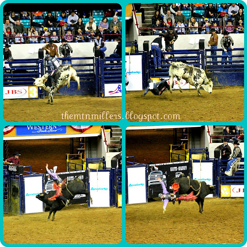 The Mountain Millers: Denver Rodeo Pictures The Mountain Millers: Denver Rodeo Pictures