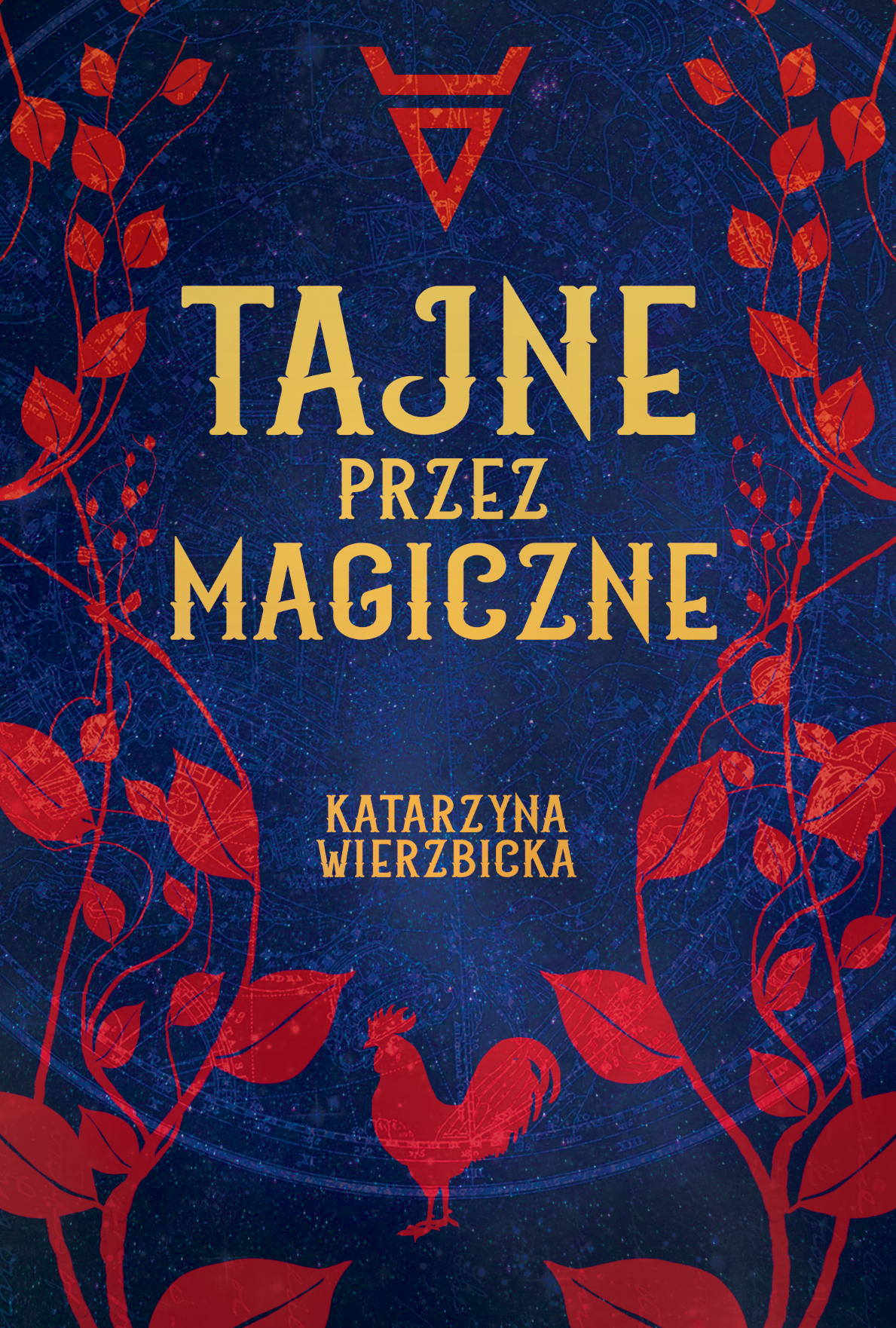 "Tajne przez magiczne" Katarzyna Wierzbicka - zapowiedź Patronat Medialny