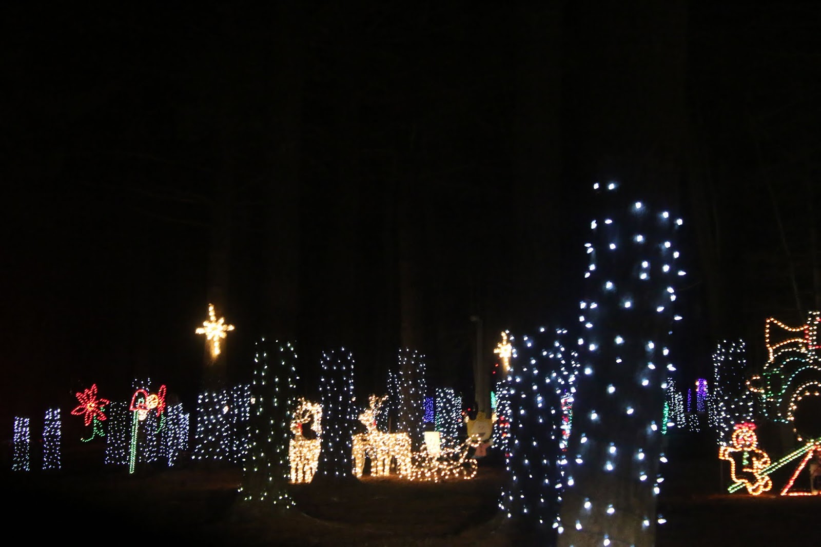 Clinton Christmas Lights 