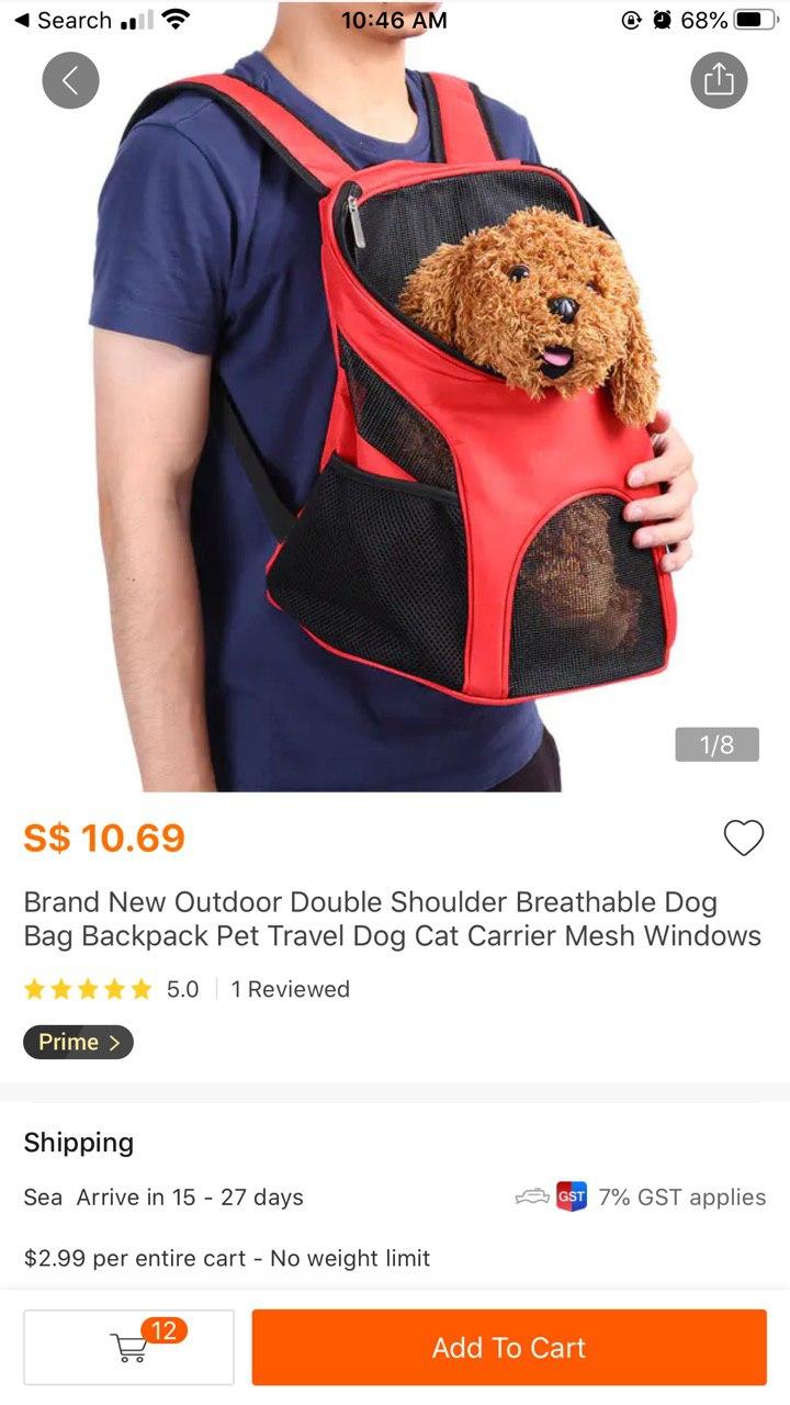 Choosing a Pet Stroller for My Guinea Pigs Monice