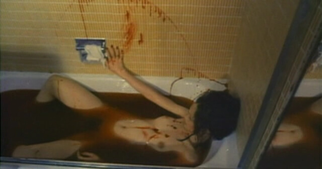 Doris Wishman A Night to Dismember