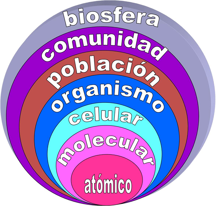 2do secundariaBioelementos y Niveles de organizacion
