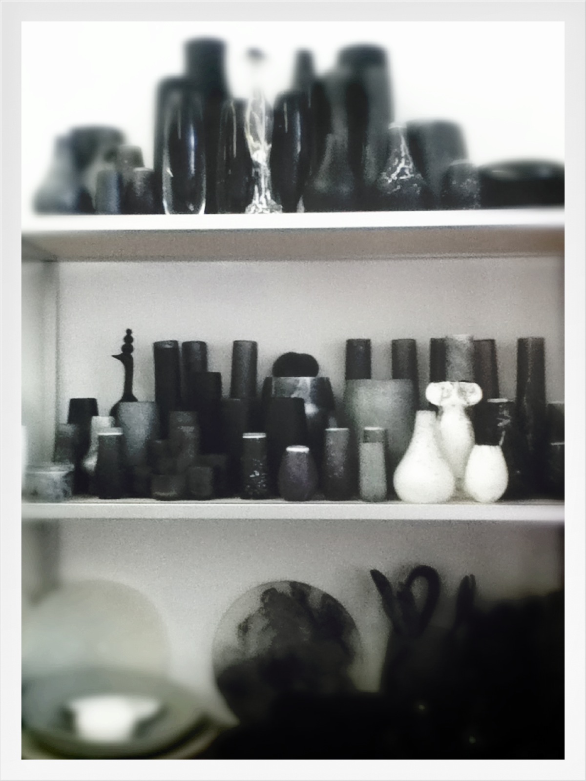 Molly's Maison Dinosaur Designs Extinct store visit