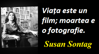 Maxima zilei: 16 ianuarie - Susan Sontag