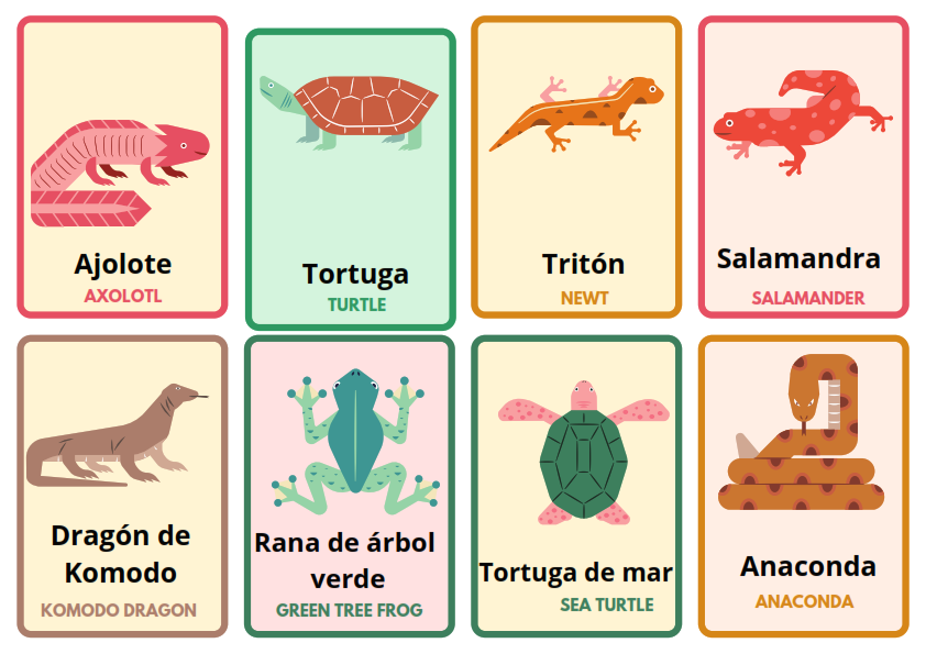 English to Spanish: Reptiles | Spanish Flashcards