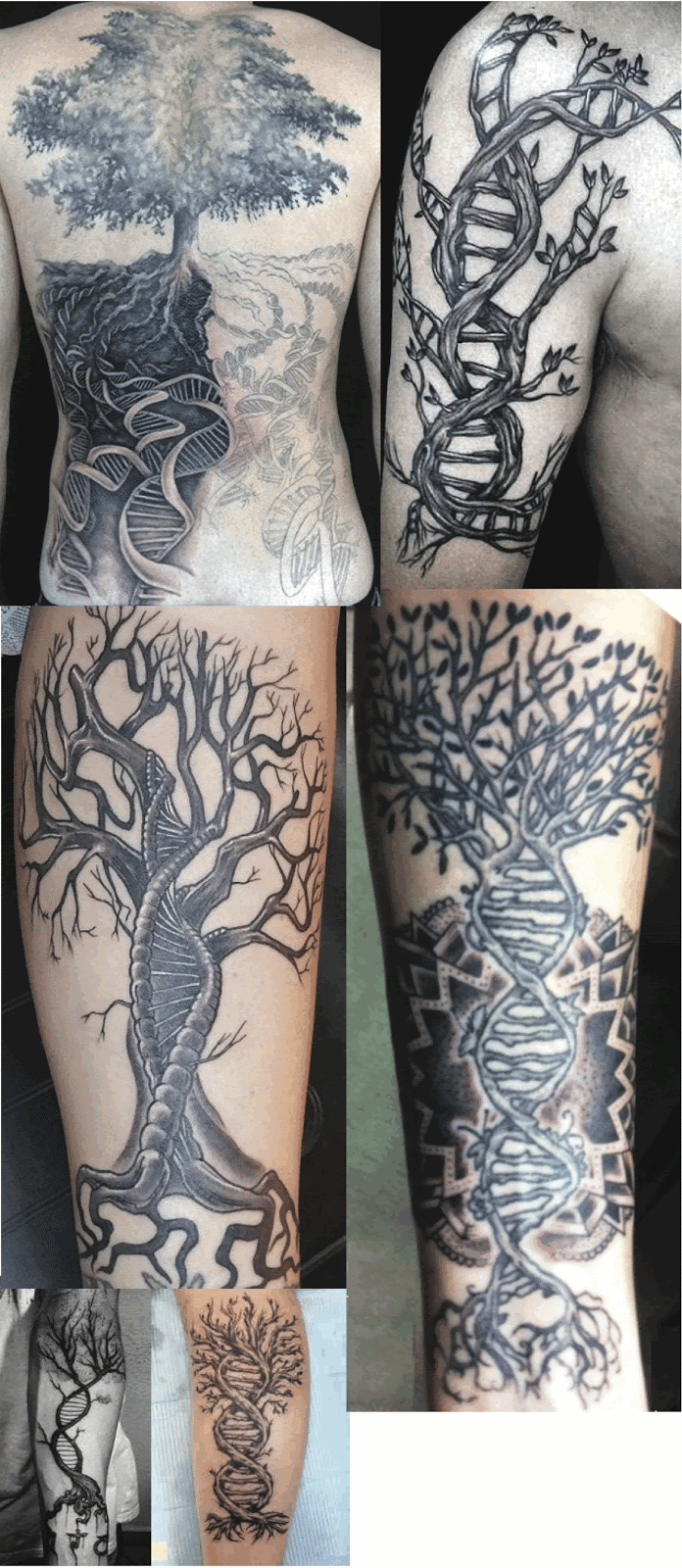 Tattoo uploaded by Anestin Wiffi  tree tattooart tretattoo dna family  house love butchersink instagram  Tattoodo
