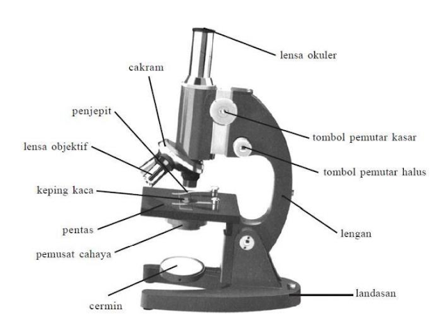 b.   Bagian-Bagian Mikroskop Cahaya