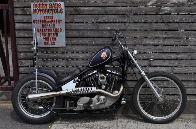 Harley Davidson Sportster By Berry Bads