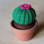 patron gratis cactus amigurumi | free amigurumi pattern cactus