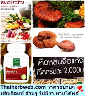  สมุนไพรรักษาโรค เห็ดหลินจือ แคปซูล Thai Herb สรรพคุณและประโยชน์ กับโรคตับ ป้องกันมะเร็ง ความดันโลหิตสูง เบาหวาน ไซนัส บำรุงคนชรา เพิ่มภูมิคุ้มกัน ราคาส่ง ราคาถูก