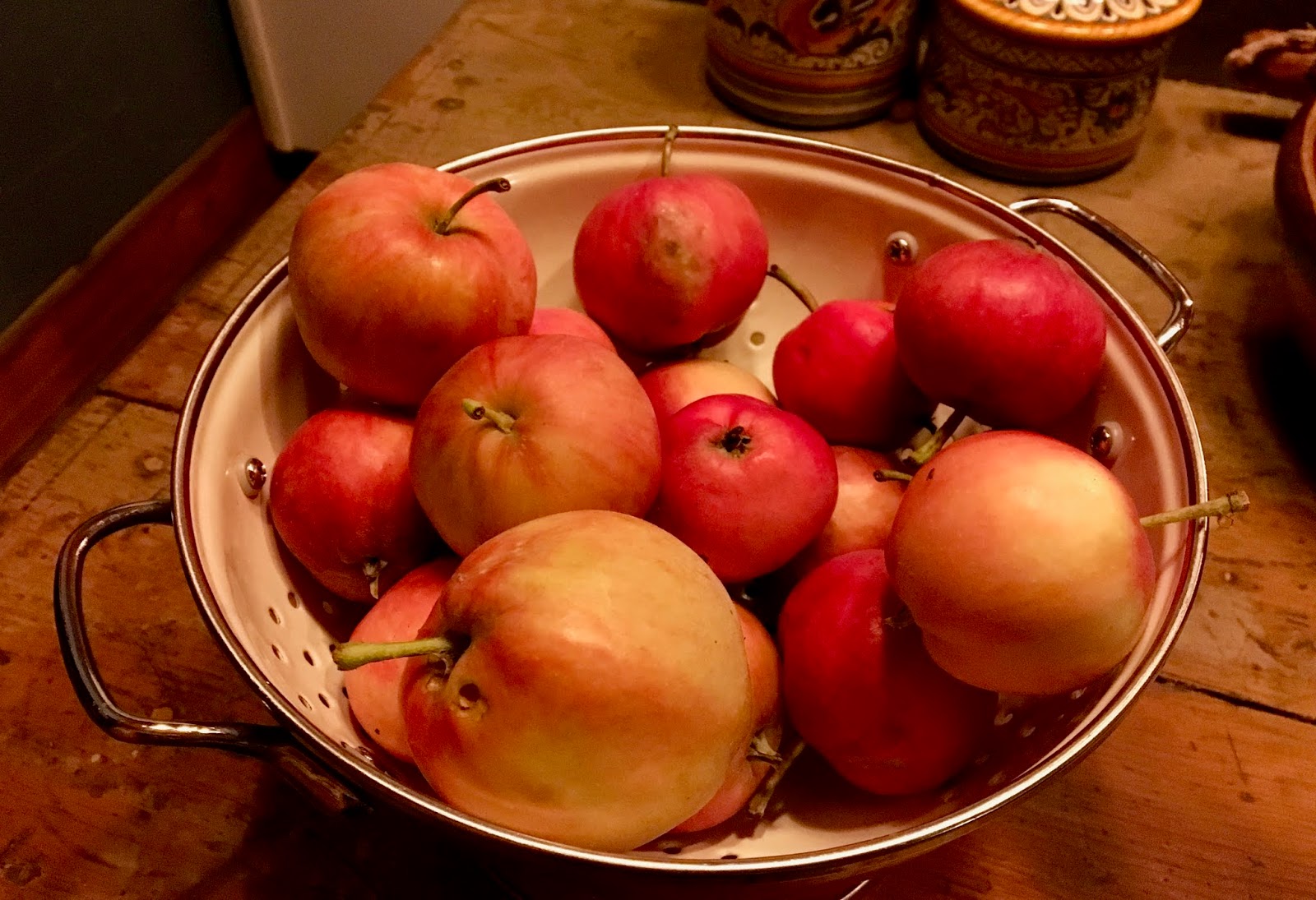 Windfall apples
