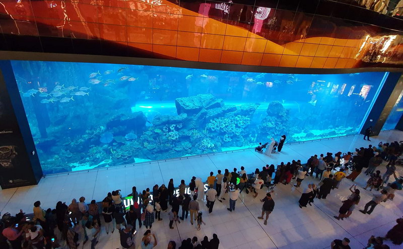 Достопримечательности Дубая - Аквариум (Dubai Aquarium)