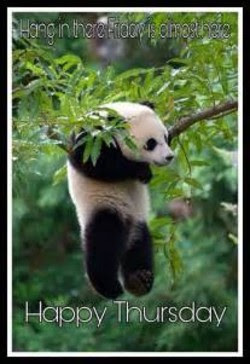Happy Thursday Meme,  Funny panda meme